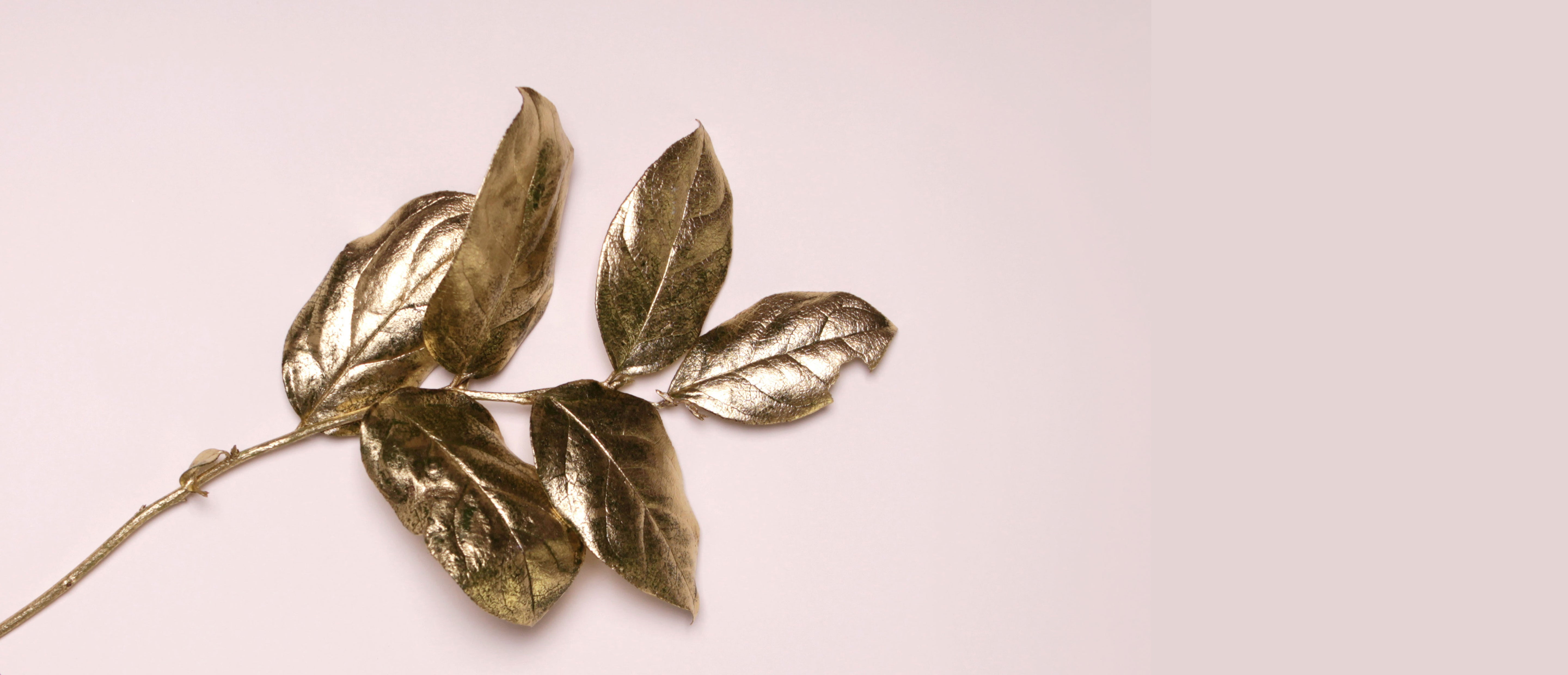 Diamond & Gold Masques