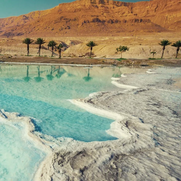 Amber Apothecary Dead Sea Mud Body Masque